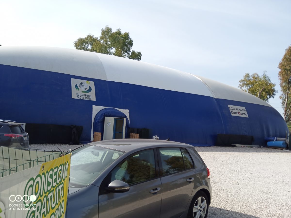 Eucaliptos Padel Roma