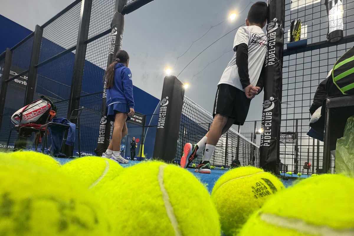 Eucaliptos Padel Roma