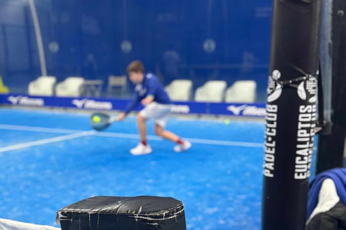 Eucaliptos Padel Roma